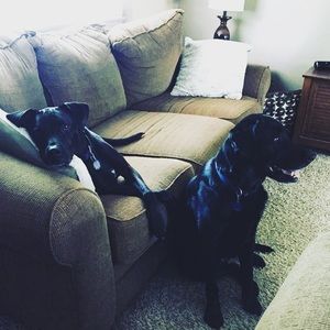 Meet your Posher, Rebecca